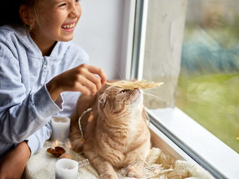 enfant-devant-la-fenetre-avec-son-chat